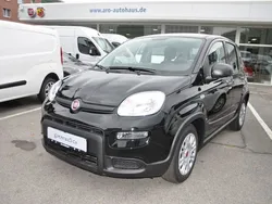 Schwarz Neu 2024 Fiat Panda Style Kleinwagen | 14.990 €