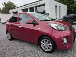 Rot Gebraucht 2015 Kia Picanto DREAM-TEAM Edition Kleinwagen | 6.990 € (Fairer Preis)