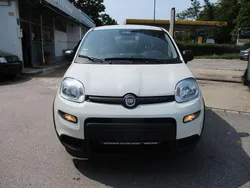 Weiß Gebraucht 2025 Fiat Panda Kleinwagen | 12.500 € (Guter Preis)