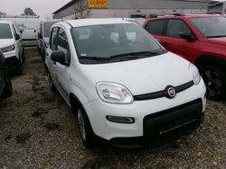 Gelatoweiß Gebraucht 2023 Fiat Panda Kleinwagen | 11.480 € (Fairer Preis)