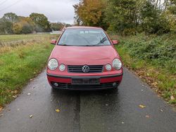 Rot Gebraucht 2003 VW Polo Kleinwagen | 2.000 € (Etwas zu teuer)