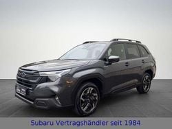 Grau Gebraucht 2025 Subaru Forester Exclusive+ SUV | 38.990 € (Superpreis)