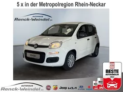 Weiss Neu 2025 Fiat Panda Kleinwagen | 15.989 €