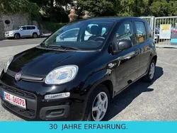 Schwarz Gebraucht 2020 Fiat Panda Easy Kleinwagen | 7.980 € (Guter Preis)