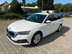 Weiß Gebraucht 2021 Skoda Octavia Ambition Kombi | 12.900 € (Fairer Preis)
