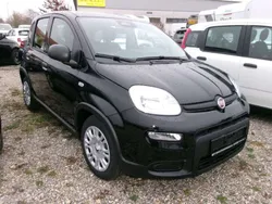 Schwarz Neu 2024 Fiat Panda Kleinwagen | 14.980 €