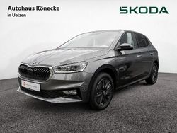 Grau Neu 2025 Skoda Fabia Tour Kleinwagen | 25.489 €