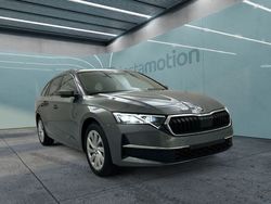 Grau Gebraucht 2024 Skoda Octavia Selection Kombi | 30.791 € (Fairer Preis)