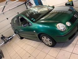 Grün Gebraucht 2002 VW Polo Kleinwagen | 1.500 € (Fairer Preis)