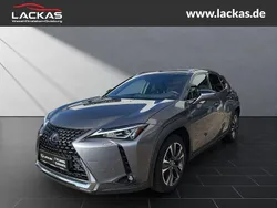 Grau Gebraucht 2020 Lexus UX 250h SUV | 24.950 € (Fairer Preis)