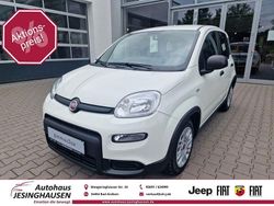 Weiß Gebraucht 2024 Fiat Panda Kleinwagen | 14.750 € (Fairer Preis)