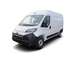 Weiss Gebraucht 2025 Opel Movano Van | 30.249 € (Etwas zu teuer)