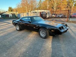 Schwarz Gebraucht 1980 Pontiac Trans Am Coupé | 14.500 €