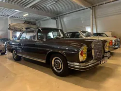 Braun Gebraucht 1966 Mercedes 250 SE Coupé | 95.000 €