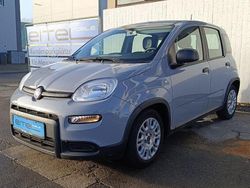 Grau Gebraucht 2023 Fiat Panda Kleinwagen | 12.790 € (Fairer Preis)