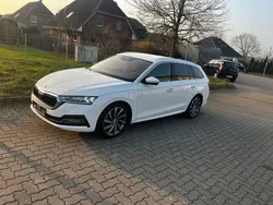 Weiß Gebraucht 2021 Skoda Octavia Style Kombi | 17.980 € (Guter Preis)