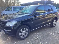 Mercedes ML250