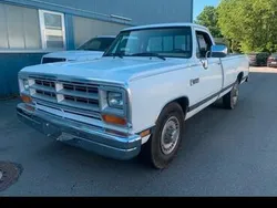 Gebraucht 1988 Dodge Ram Abholung | 15.999 €
