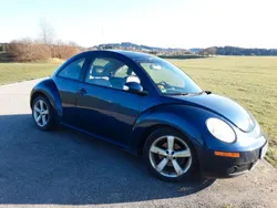 VW Beetle