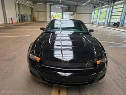 Schwarz Gebraucht 2011 Ford Mustang Coupé | 13.999 € (Guter Preis)