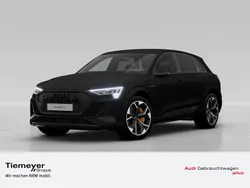 Othercolor Gebraucht 2023 Audi e-tron Exclusive SUV | 62.290 € (Etwas zu teuer)