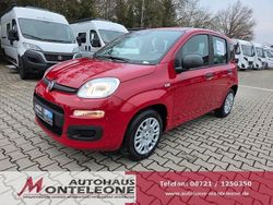 Rot Neu 2025 Fiat Panda Icon Limousine | 14.149 € (Fairer Preis)