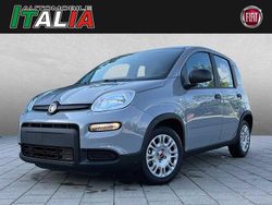 Grau Gebraucht 2023 Fiat Panda Kleinwagen | 13.999 € (Etwas zu teuer)