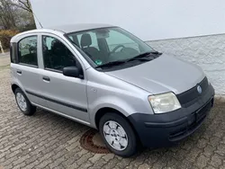 Silber Gebraucht 2007 Fiat Panda Kleinwagen | 2.400 € (Fairer Preis)