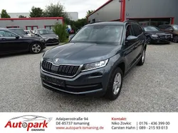 Grau Gebraucht 2020 Skoda Kodiaq Ambition SUV | 28.990 € (Teuer)