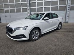 Candyweiss Gebraucht 2021 Skoda Octavia Ambition Limousine | 15.500 € (Fairer Preis)