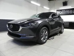 Neu 2025 Mazda CX-30 Exclusive-Line SUV | 33.790 €