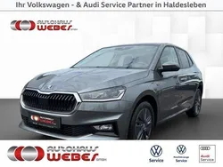 Grau Gebraucht 2024 Skoda Fabia Selection Kleinwagen | 23.289 € (Fairer Preis)