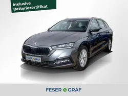 Grau Gebraucht 2022 Skoda Octavia Style Kombi | 24.490 € (Guter Preis)