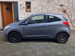 Grau Gebraucht 2012 Ford Ka Champions Edition Kleinwagen | 2.700 € (Guter Preis)