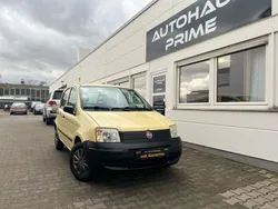 Gelb Gebraucht 2009 Fiat Panda Active Kleinwagen | 2.499 € (Fairer Preis)