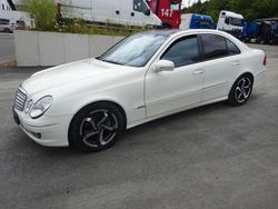 Weiß Gebraucht 2009 Mercedes E300 Limousine | 6.500 € (Guter Preis)