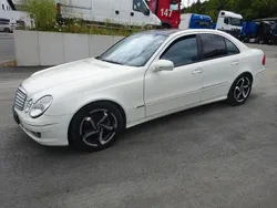 Weiß Gebraucht 2009 Mercedes E300 Limousine | 6.500 € (Fairer Preis)
