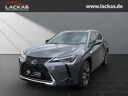Grau Gebraucht 2021 Lexus UX 250h SUV | 27.449 € (Fairer Preis)