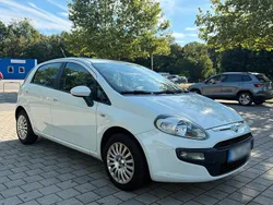Weiß Gebraucht 2010 Fiat Punto Kleinwagen | 2.950 € (Fairer Preis)