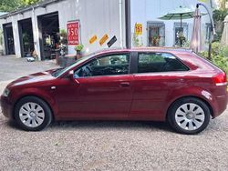 Rot Gebraucht 2004 Audi A3 Limousine | 2.950 € (Fairer Preis)