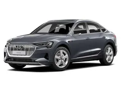Grau Gebraucht 2020 Audi e-tron Advanced SUV | 35.000 € (Teuer)