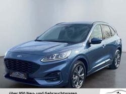 Blau Gebraucht 2024 Ford Kuga ST-Line SUV | 27.140 € (Guter Preis)