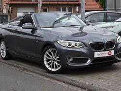 Grau Gebraucht 2016 BMW 218 Luxury Line Cabrio | 13.990 € (Guter Preis)