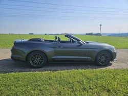 Grau Gebraucht 2016 Ford Mustang Cabrio | 17.800 € (Fairer Preis)