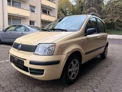 Gelb Gebraucht 2006 Fiat Panda Active Kleinwagen | 1.450 € (Fairer Preis)