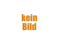 Dolomitgrau metallic/dach in Neu 2025 Renault Scénic Esprit Alpine Van / Kleinbus | 49.998 € (Fairer Preis)