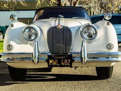 Jaguar XK