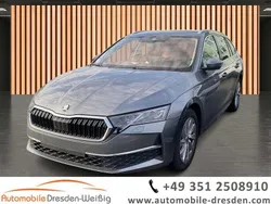 Grau Gebraucht 2024 Skoda Octavia Selection Kombi | 29.980 € (Guter Preis)