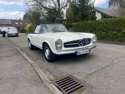 Weiß Gebraucht 1964 Mercedes W113 Cabrio | 59.900 €