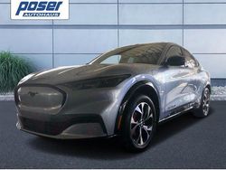 Silber Gebraucht 2024 Ford Mustang Mach-E SUV | 53.010 € (Teuer)